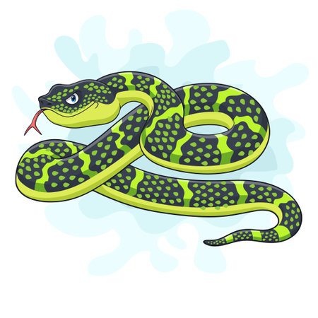 Cartoon wagler snake on white backgroundのイラスト素材