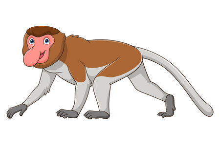 Cartoon Proboscis monkey on white backgroundのイラスト素材