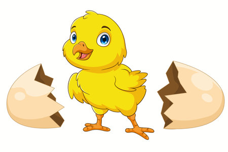 Cartoon new born chick on white backgroundのイラスト素材