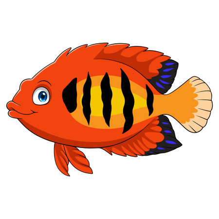 Flame angelfish on white backgroundのイラスト素材