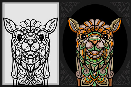 Colorful ILama head mandala arts with black line sketch isolated on black and white backgroundのイラスト素材