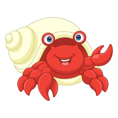 Cartoon hermit crab on white backgroundのイラスト素材