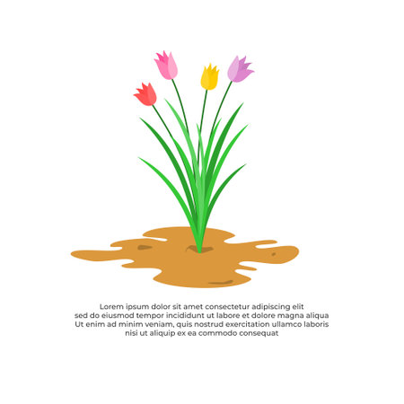 Flower in the ground. Vector illustration in flat cartoon style. Tulip vector flat design.のイラスト素材