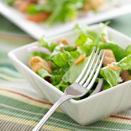 salad with fork closeupの写真素材
