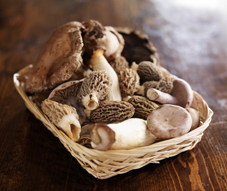 basket of exotic gourmet mushrooms