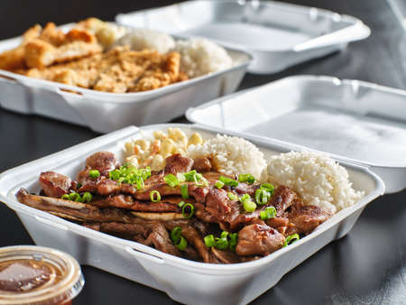 hawaiian bbq in take out container with mix of barbecue meatsの写真素材
