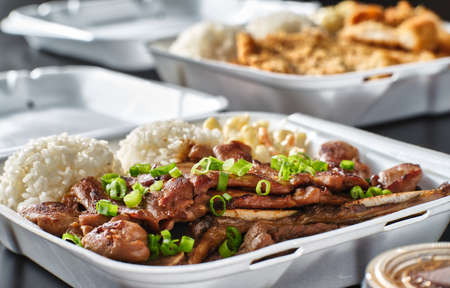 hawaiian bbq in take out container with mix of barbecue meatsの写真素材