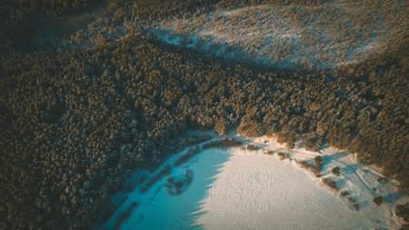 lake in the forest in winter