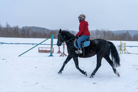 horse winter snow animal nature white equestrian cold young female woman beauty horseback caucasian ride black equine faの写真素材