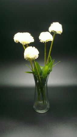 White flower in jarの素材