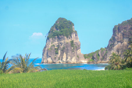 Pangasan Beach in Pacitan, Indonesia, features lush rice fields and dramatic cliffs meeting the turquoise sea in a breathtaking natural setting.の写真素材