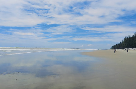 Serene beach under clear sky