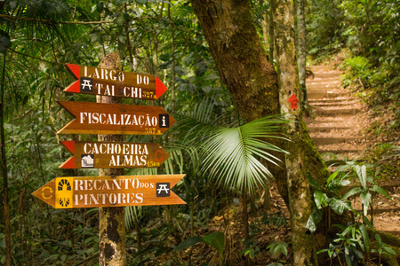 Rio de Janeiro, Brazil - January 20, 2019: Beautiful green nature in the Atlantic Rainforest, Tijuca Forest National Parkのeditorial素材