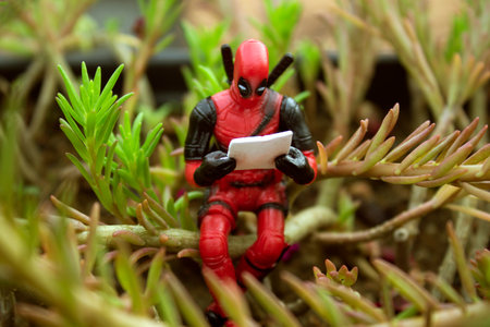 Rio de Janeiro, Brazil, November 25, 2018: Deadpool Minifigure sitting on plant. Deadpool reading a newspaper under the plant.のeditorial素材