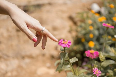 Lady touching flower with fingertipの写真素材