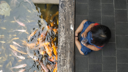 Little girl feeding fish in pondの写真素材