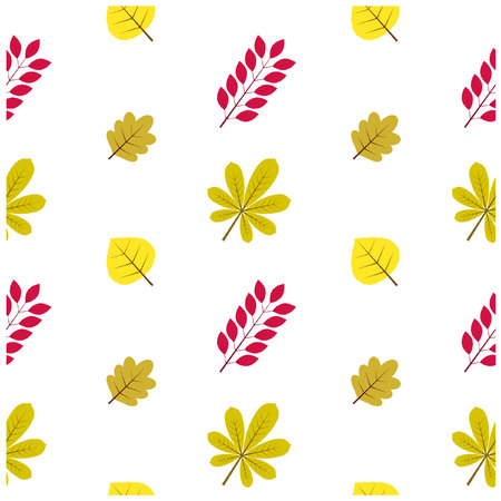 Pattern Autumn Leaf Fall Colorfulのイラスト素材