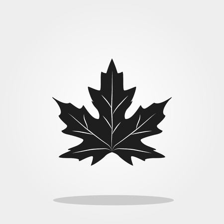 Maple leaf cute icon in trendy flat style isolated on color background. Thanksgiving symbol for your designのイラスト素材