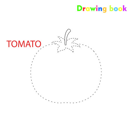 Tomato coloring and drawing book vegetable design illustrationのイラスト素材