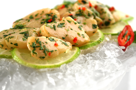 Marinated scallops with slices of lime on crushed ice の写真素材