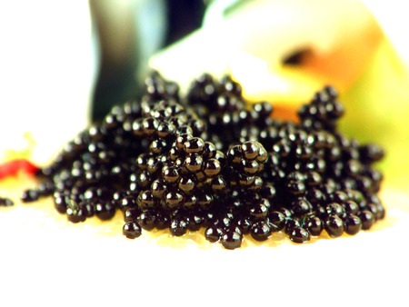 Fresh black caviar on the plateの写真素材