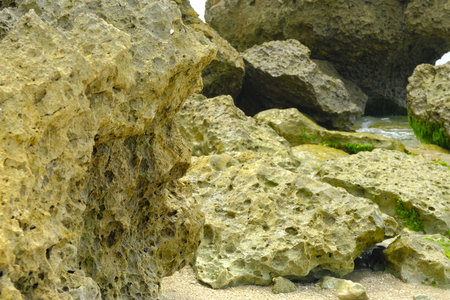 Dead coral with sea sand as background. Batu karang di pantai