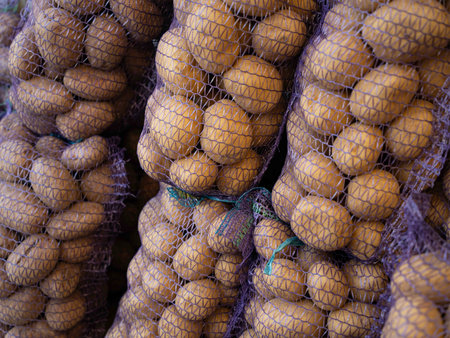 Natural healthy new potatoes in mesh bags are sold at the farmers  market.の写真素材