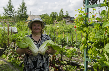 A woman in the country holding the two male Chinese cabbage.の写真素材