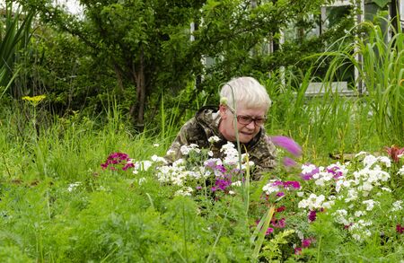 The woman at the cottage among the flowers.の写真素材