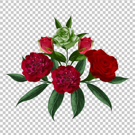 watercolor rose  flowerのイラスト素材