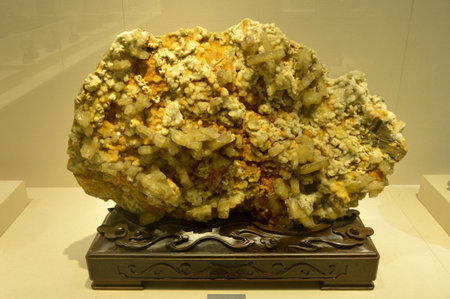 Bariteのeditorial素材