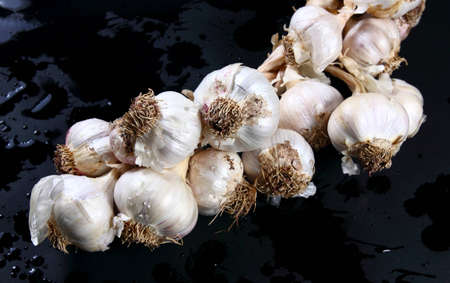 Fresh garlics on a  wet dark backgroundの写真素材