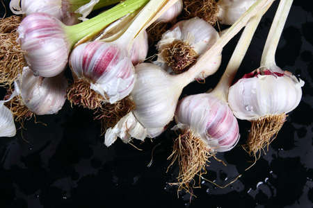 Fresh garlics on a wet dark backgroundの写真素材