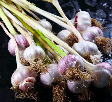 Fresh garlics on a  wet dark backgroundの写真素材