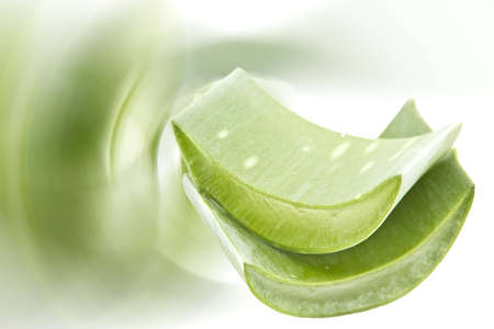 Aloe is widely proved to be very effective in the treatment of various skin disorders, and beauty. It heals wounds and prevents infection as well as strengthens collagen to re-build damaged tissues.の写真素材