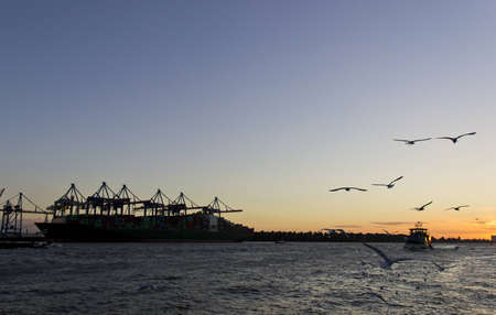 Huge container cargo ship at sunset in Hamburg harbor.の写真素材