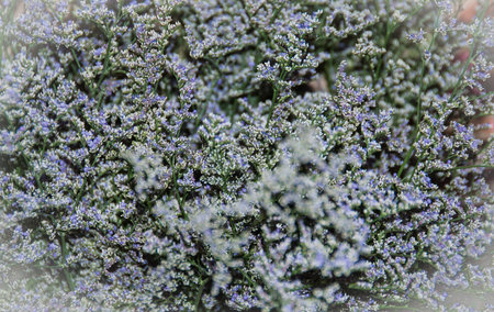 Gray beautiful texture background