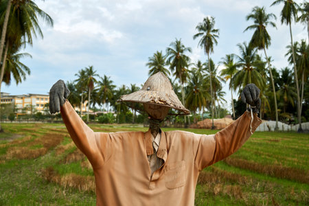 Close up of male scarecrow at the paddy field in Kampung Agong, Penang, Malaysia