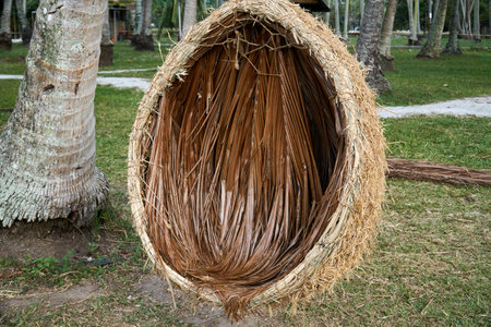 Rattan lounge hanging chairの写真素材