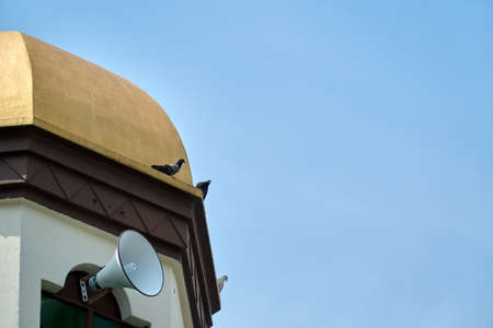 Couple of pigeons resting on top of mosque dome during the dayの写真素材