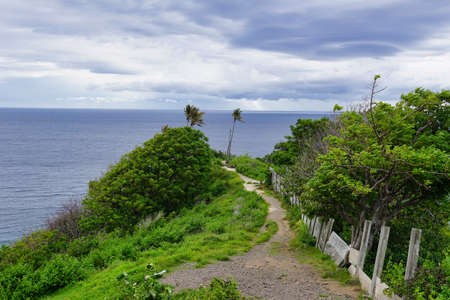 View of coconut trees at Malimbu hill during windy and gloomy weatherの写真素材