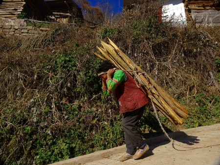 Yi nationality old woman carrying woodのeditorial素材
