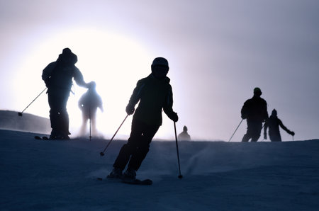 silhouettes of alpine skiers going down the ski slope in contrasting lightの写真素材