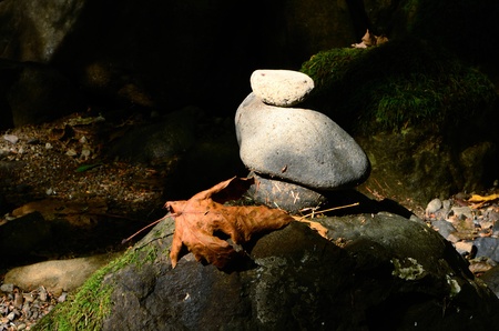 Fall colors, fern and moss along a creek in the Umpqua National Forest, Oregonの写真素材