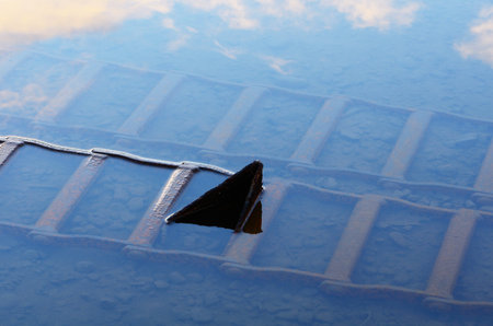 Large log moving chain / conveyer laying in a small rain filled puddle of water.