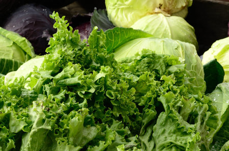 Lettuce in a large bin at a farmers market