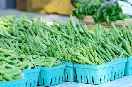 Green beans at a farmers market in Oregonの写真素材
