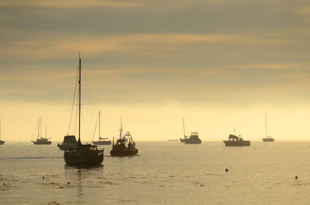 Several boats in the marina in San Luis Obisbo Bay near Pismo Beach and Avila Beach CAの写真素材
