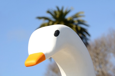 This is one of the Swan Boats of Pacfic Grove in Monterey California - Boats no longer inserviceの写真素材