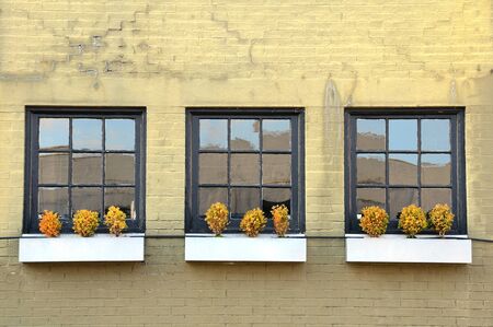 Windows with plant boxes on a green walll in SE Portland Oregon industrial district の写真素材